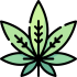 marijuana